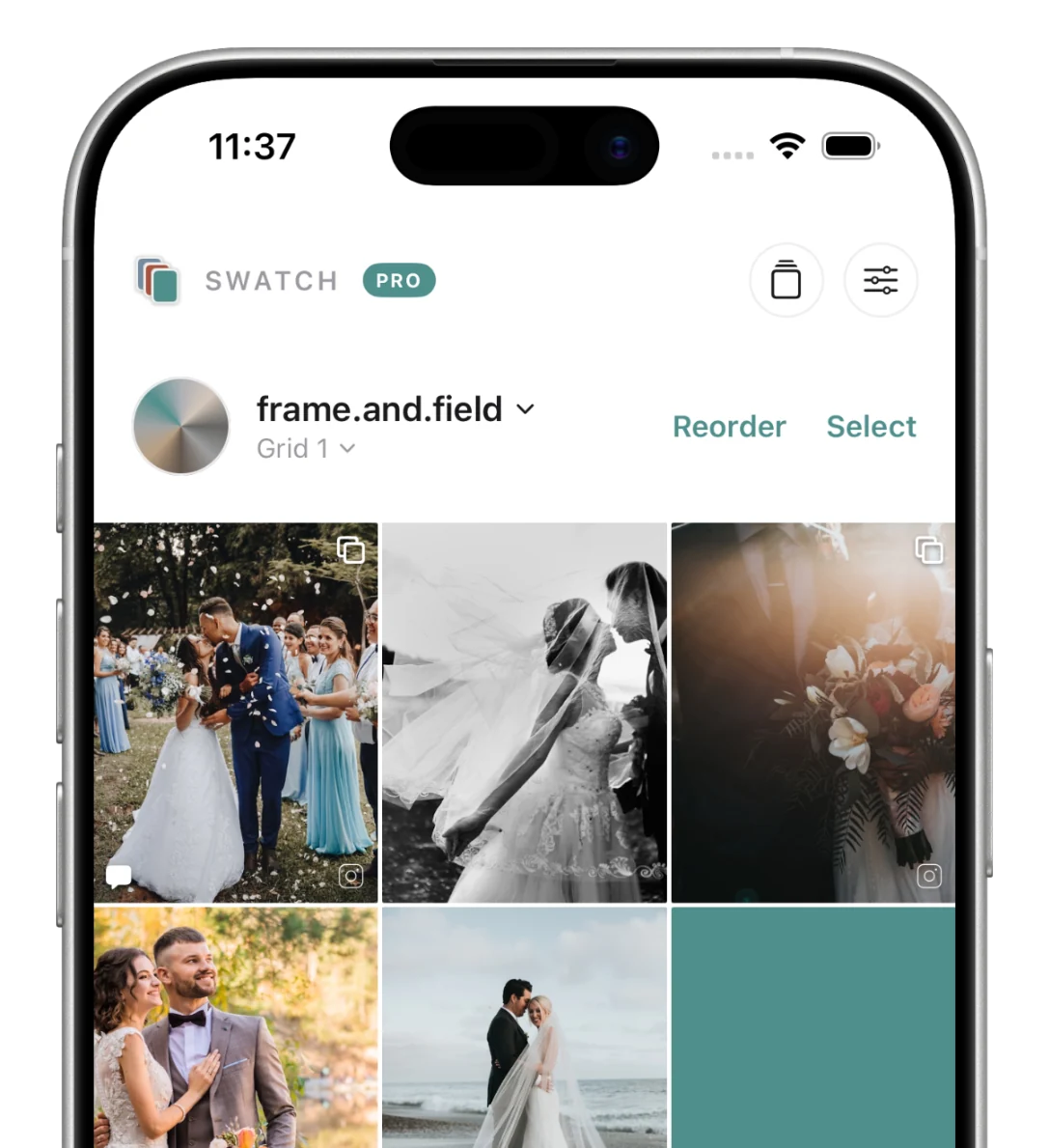 A Swatch grid with each post marked: carousel, reel, caption and posted badges on the tiles